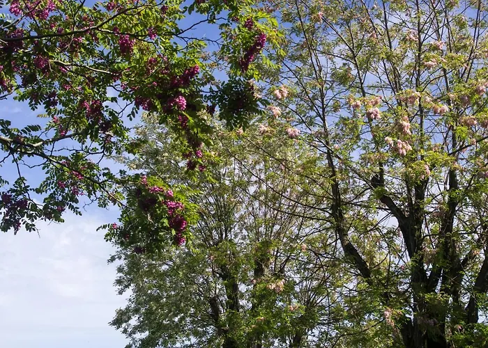 Logis Saint Leonard 3* Dompierre-sur-Mer